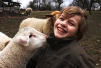 zwei Schafe beschnuppern ein lachendes Kind
